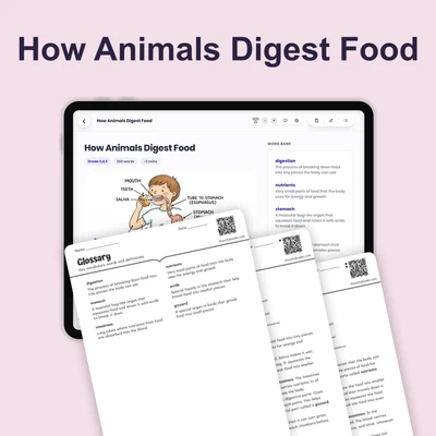How Animals Digest Food - reading educational content