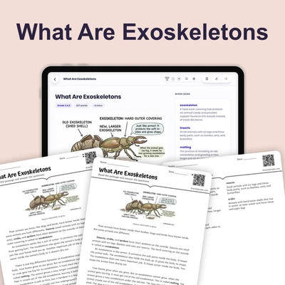 What Are Exoskeletons - reading educational content