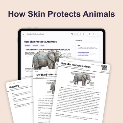 How Skin Protects Animals - reading educational content