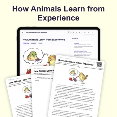 How Animals Learn from Experience - reading educational content