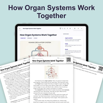 How Organ Systems Work Together - reading educational content