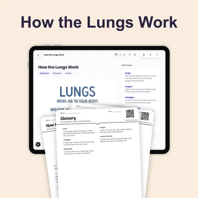 How the Lungs Work - reading educational content