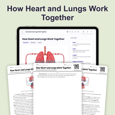 How Heart and Lungs Work Together - reading educational content