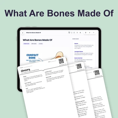 What Are Bones Made Of - reading educational content