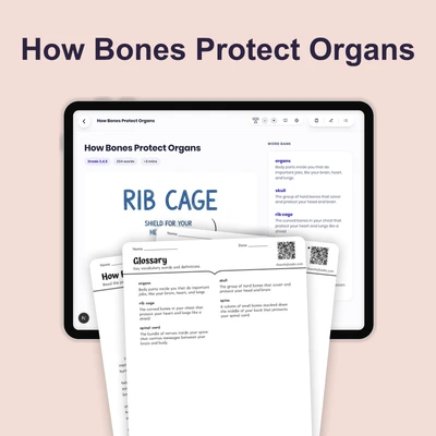 How Bones Protect Organs - reading educational content