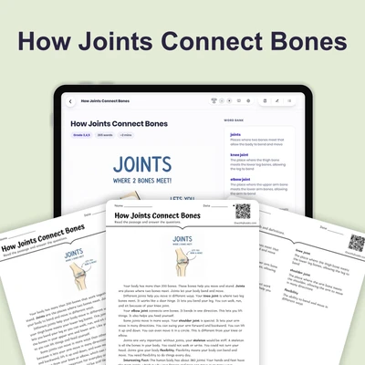 How Joints Connect Bones - reading educational content