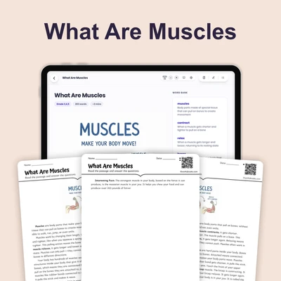 What Are Muscles - reading educational content