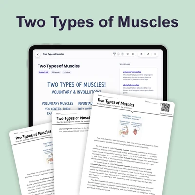 Two Types of Muscles - reading educational content