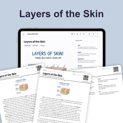 Layers of the Skin - reading educational content