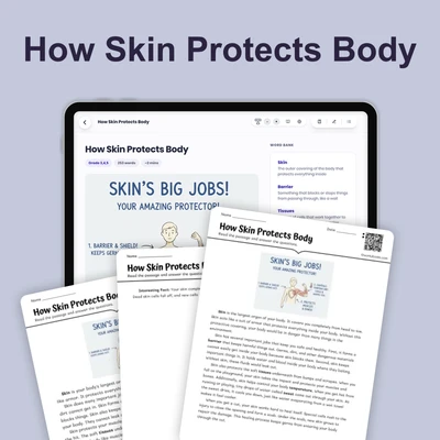 How Skin Protects Body - reading educational content