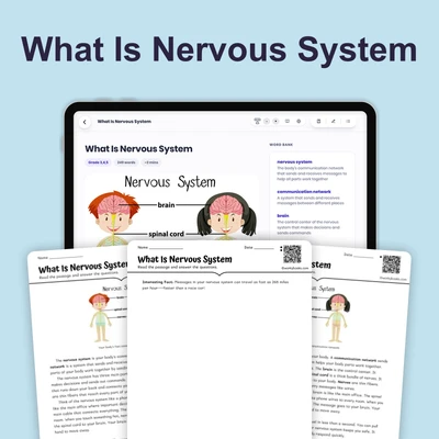 What Is Nervous System - reading educational content