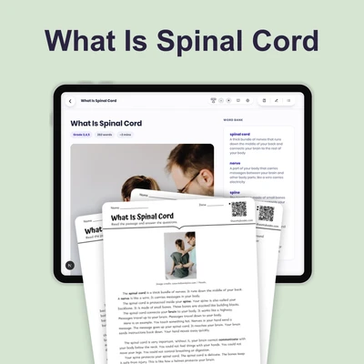 What Is Spinal Cord - reading educational content