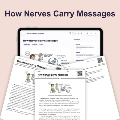 How Nerves Carry Messages - reading educational content