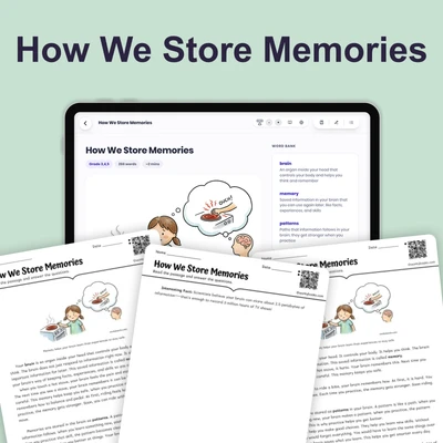 How We Store Memories - reading educational content