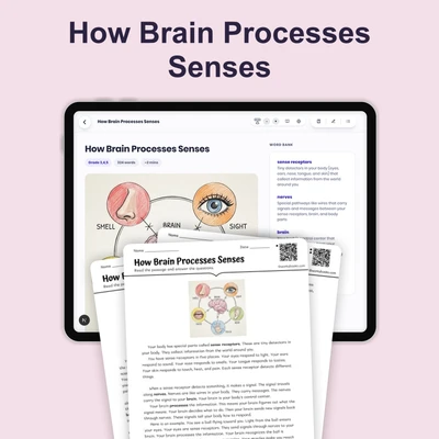 How Brain Processes Senses - reading educational content