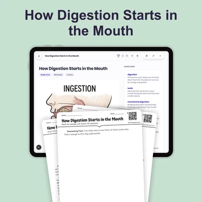 How Digestion Starts in the Mouth - reading educational content