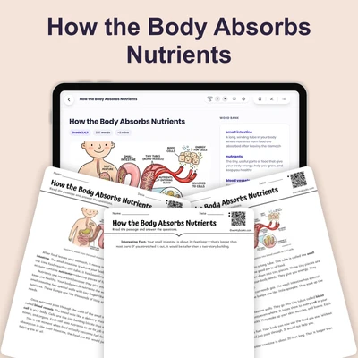 How the Body Absorbs Nutrients - reading educational content