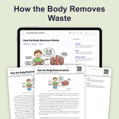 How the Body Removes Waste - reading educational content