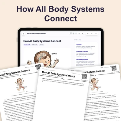 How All Body Systems Connect - reading educational content