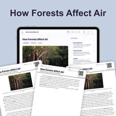 How Forests Affect Air - reading educational content