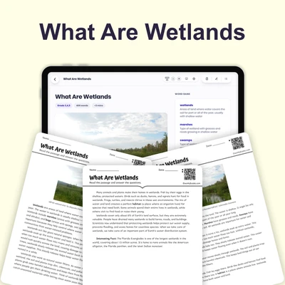 What Are Wetlands - reading educational content