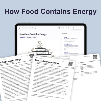 What Kind of Energy Is Stored in Food - reading educational content