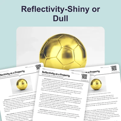 Reflectivity-Shiny or Dull - reading educational content