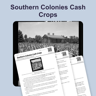 Growing Tobacco, Rice, and Indigo - reading educational content