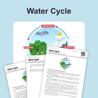 The Water Cycle - reading educational content