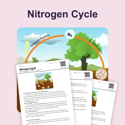 The Nitrogen Cycle - reading educational content