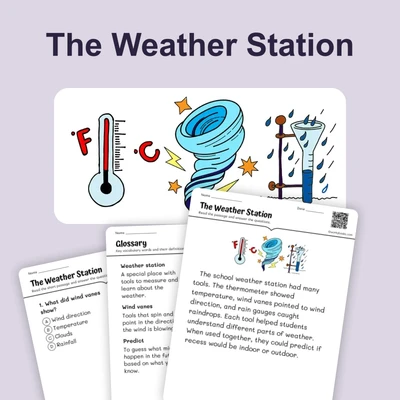 The Weather Station - reading educational content