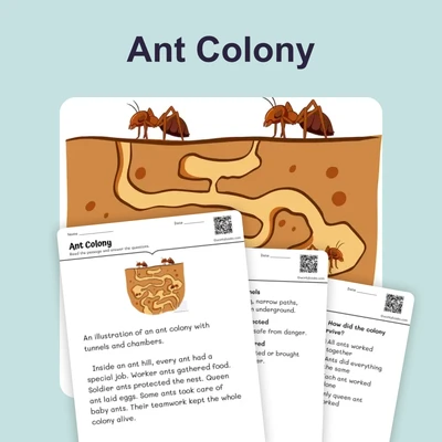 Ant Colony - reading educational content