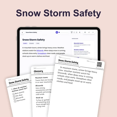 Snow Storm Safety - reading educational content