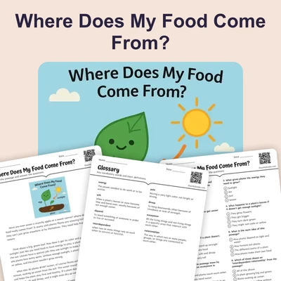 Where Does My Food Come From? - reading educational content