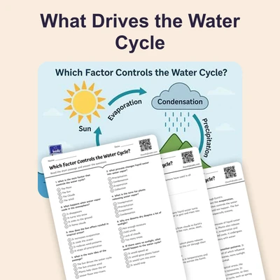 What Drives the Water Cycle - reading educational content