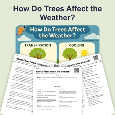How Do Trees Affect the Weather? - reading educational content
