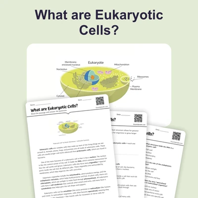 What are Eukaryotic Cells? - reading educational content