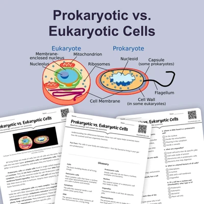Prokaryotic vs. Eukaryotic Cells - reading educational content