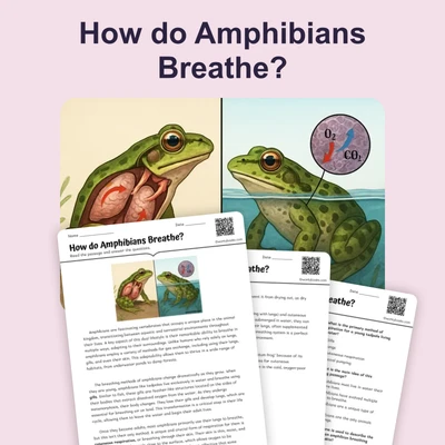 How do Amphibians Breathe? - reading educational content