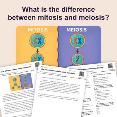 What is the difference between mitosis and meiosis? - reading educational content