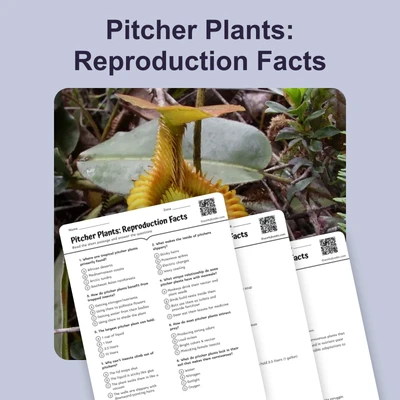 Pitcher Plants: Reproduction Facts - reading educational content
