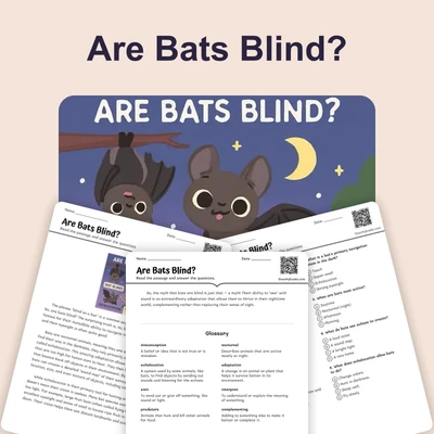 Are Bats Blind?  - reading educational content