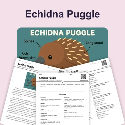 Echidna Puggle - reading educational content