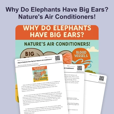 Why Do Elephants Have Big Ears?  - reading educational content