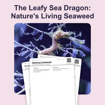 The Leafy Sea Dragon: Nature's Living Seaweed - reading educational content