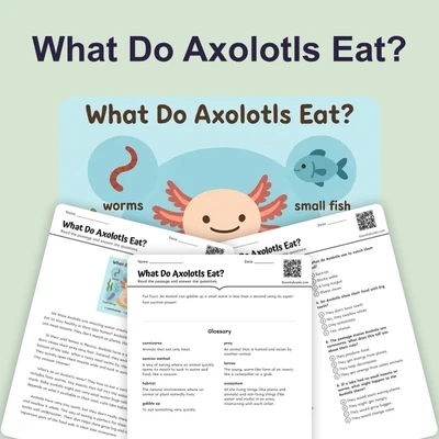 What Do Axolotls Eat? - reading educational content
