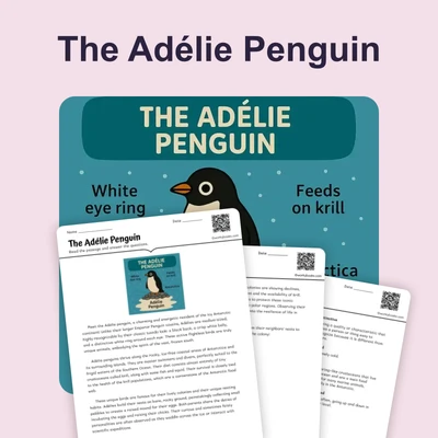 The Adélie Penguin - reading educational content