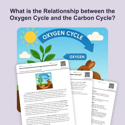 What is the Relationship between the Oxygen Cycle and the Carbon Cycle? - reading educational content