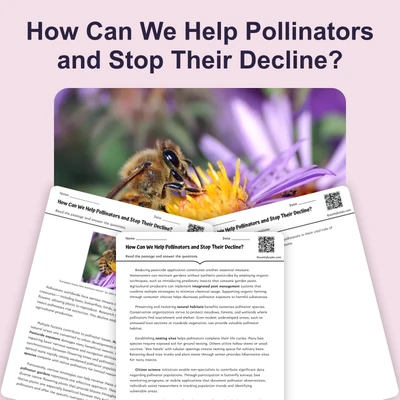 How Can We Help Pollinators and Stop Their Decline? - reading educational content