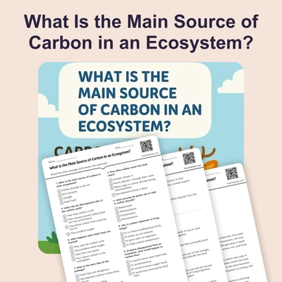 What Is the Main Source of Carbon in an Ecosystem? - reading educational content